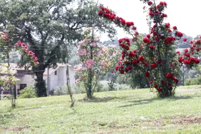 Country House with Pool in Sabina - Image 5