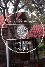 Lions king cabin woods - Image 2