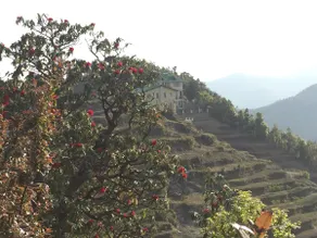 Himaadri hilltop villa - Image 4