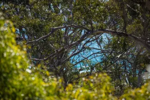 Tathra By the Sea - Image 2