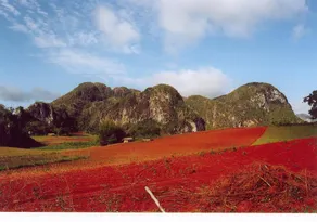 Casa Reina and Karina in Viñales - Image 5