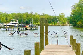 Waterfront Retreat with Office and Private Dock, Boats! - Image 2