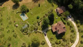 Villa surrounded by olive trees with swimming pool and barbecue - Image 2