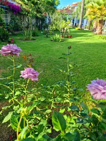 Apartment with a garden - Image 5