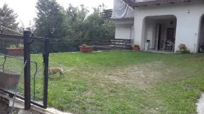Villa Ambra - Image 4