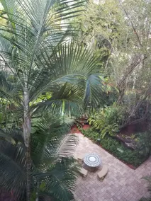 🌞Palm Beach🌴view studio by the🏖 w/parking⚡wifi - Image 4