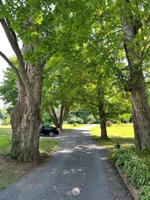 Historic Moore Manor - Image 2