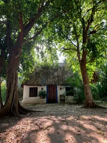 “Toh” Cabañas Pájaro Azul, -Puuc Route - Image 3