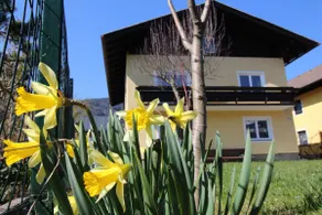 Apartment in the countryside near Salzburg 2 - Image 4