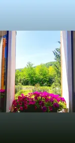 La Bottega, holiday house - Image 5