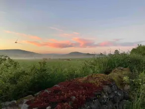 Måsagården - Image 2