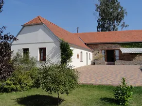 Holiday House with Swimming Pool - Boskovstejn - Image 3