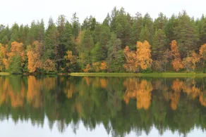 Rokua - High quality cottage by a clear water lake - Image 4