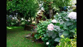 Casa Branca - Tranquility, Comfort in the Mountain - Image 2