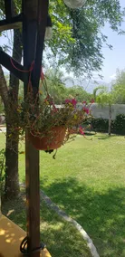 Cabin in Santiago. Your place to rest. - Image 2