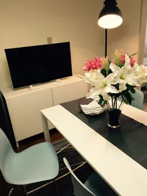 Limited time early bird campaign! Free pick-up and drop-off at Narita Airport! Apartment in Narita 125 - Image 5
