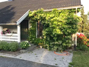 Apartment with nice view - sunny and undisturbed garden - Image 3