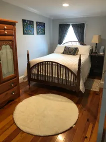 Historic private turn-key downtown apartment - Image 4