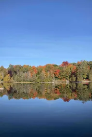 Secluded 4-Season Country Home - Lake+Hot Tub+EV - Image 4