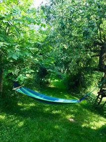 Wild Orchard Ranch - Image 2