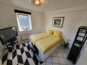 Airport near 2-bedroom: hot tub & 3 beds - Image 2