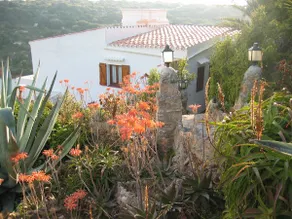 Special Place in Cala Porter. - Image 3