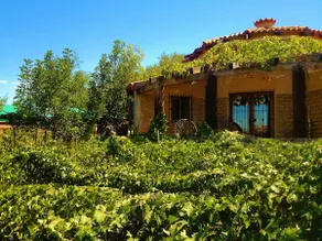 Casa Nativo: Vineyard views + spectacular sunsets - Image 4