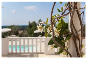 MarinelliGuestHouse Casadelcarrubo - Image 4