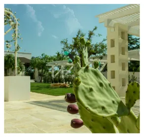 MarinelliGuestHouse Casadelcarrubo - Image 3