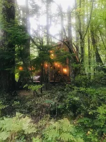 Klaus Haus-A cozy, modern retreat - Image 2
