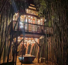 Alpaca Treehouse in the Bamboo Forest - Image 4