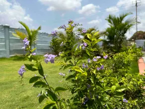 Leela’s Farm, Pvt. Pool, Spacious, Peaceful Nature - Image 4