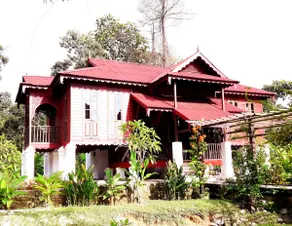 Horse Racing House - Image 4