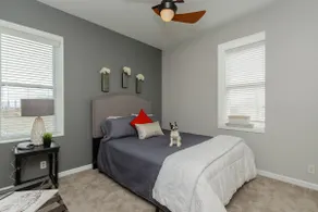 Modern Condo in Center of Soulard— Walk score 87 - Image 5