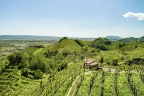 Peaceful oasis in the UNESCO site of Prosecco DOCG - Image 3