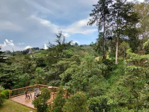 Property in El Retiro with Jacuzzi, deck, and fire pit - Image 4