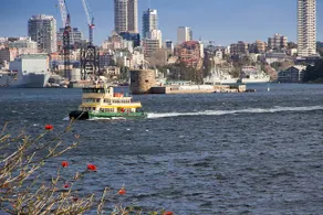Harbourfront/ Opera House and Harbour Views - Image 5