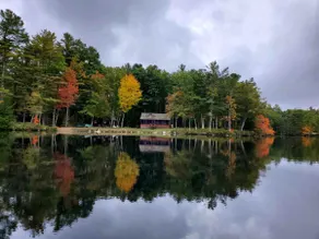 Beautiful Lakefront Log Cabin - Image 5