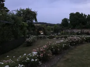 Walled Garden Cottage by Vineyard - Image 2