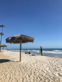 Views-Walk to Beach, Bring Fido- Blue Whale Inn #D - Image 5