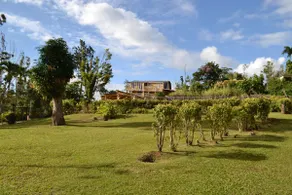 Hacienda 4 Rosas - Image 2