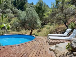 Cabin among olive trees - Image 3