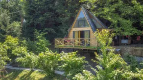 Forest House #2 - Image 2