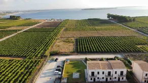 Aquilone - Sunset House - Image 2
