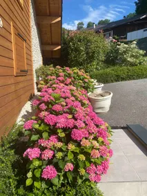 country cottage - Image 4