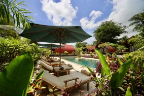 Relaxation and luxury at Jungle Paradise - Image 4