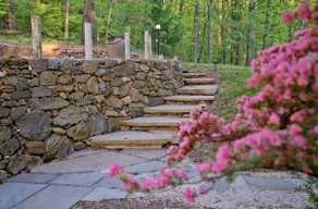 The Hidden Plum Hollow Residence - Image 5