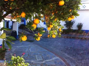 Holiday house in Alentejo - Image 4