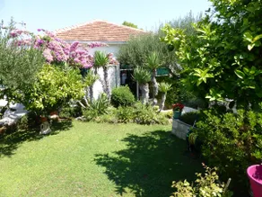 House Ivo - Image 2