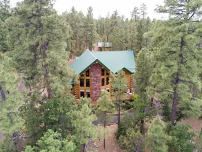 Stunning 3 story modern log cabin on 1.5 acres! - Image 3